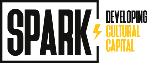 Spark Logo